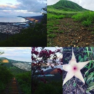 Meet your Posher, Adriana